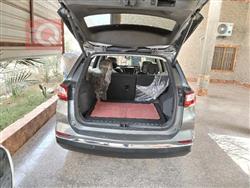 شێڤرۆلێت ئیکۆنۆکس